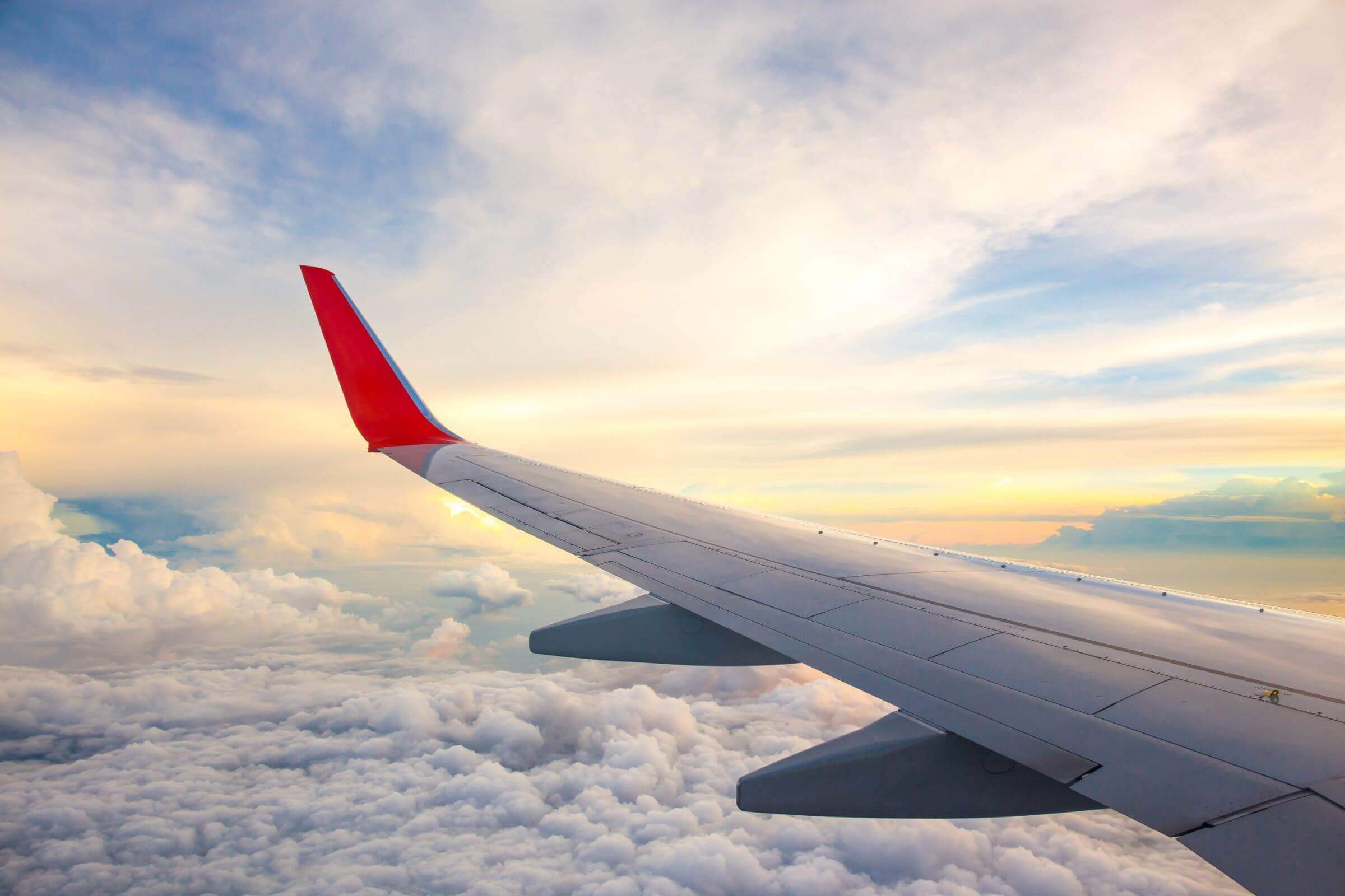 Wing of an aeroplane which has a red tip