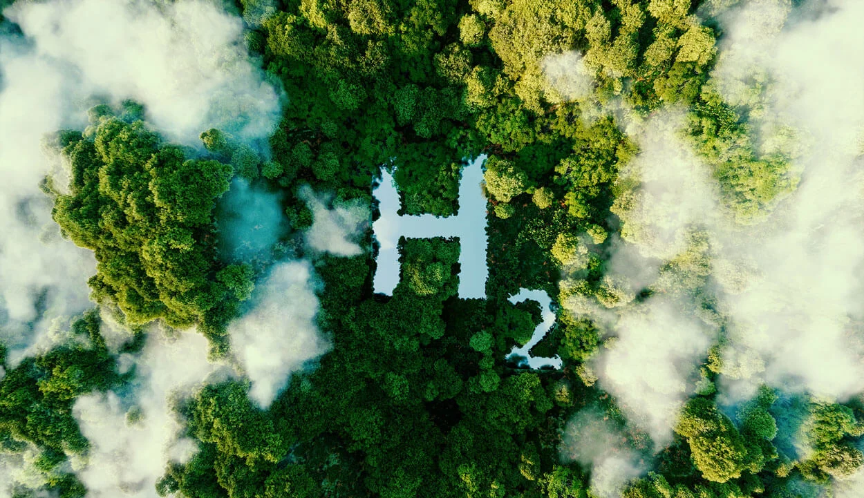 Rainforest from above with the Letters H 2 carved out